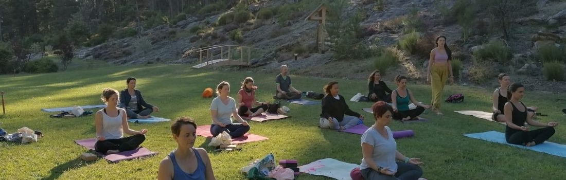 yoga et écologie