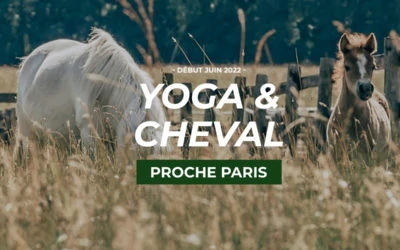 2022 – Retraite Yoga & Cheval – Du 3 au 6 juin