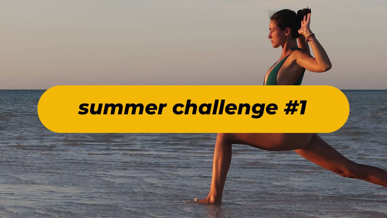  vignette kit summer challenge1