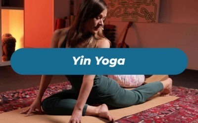 Programme Yin yoga 🐢