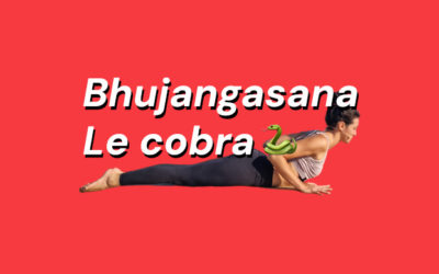Bhujangasana 🐍 La posture du cobra
